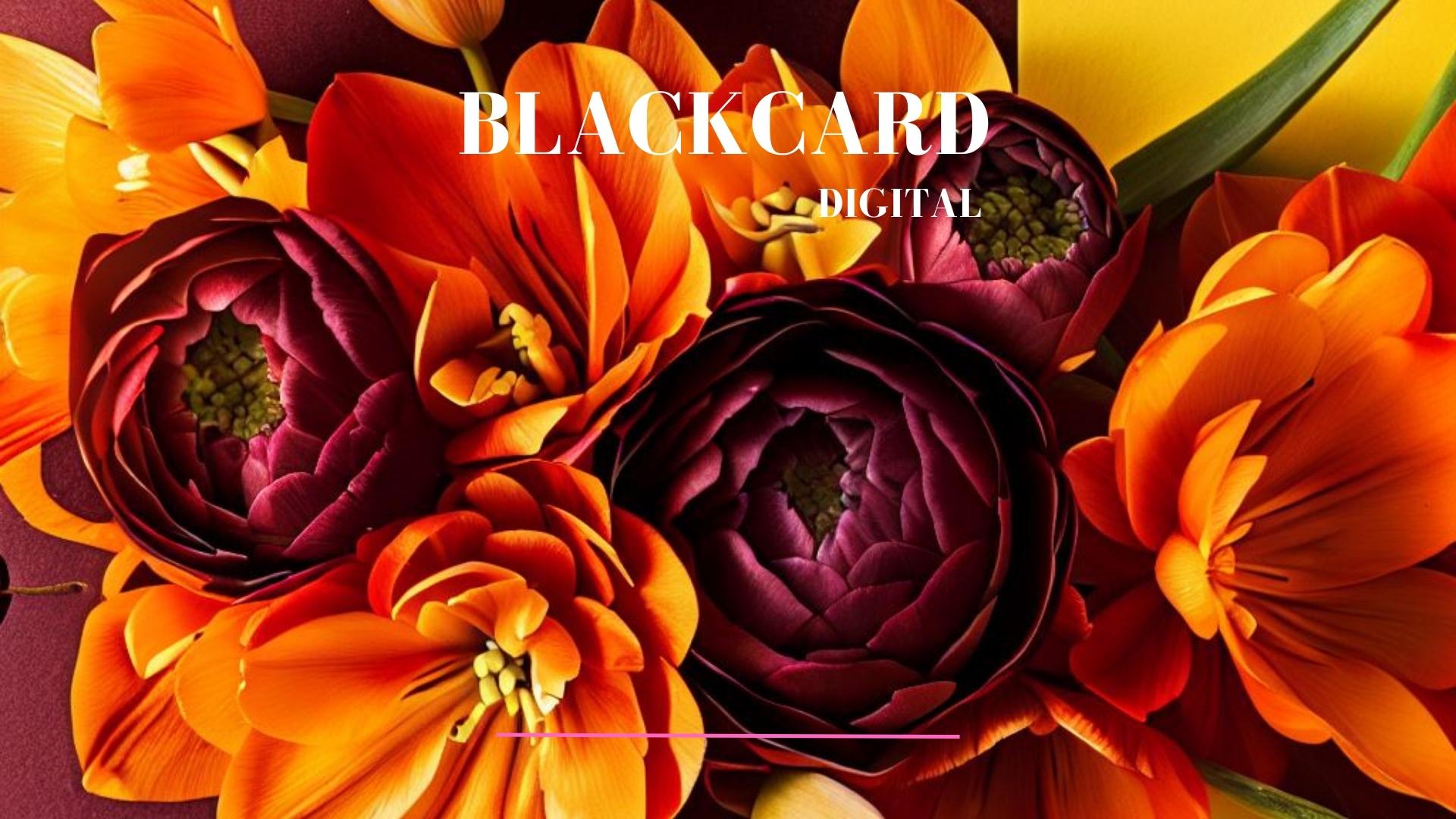 BLACKCARD DIGITAL #01 - 2022 (9)