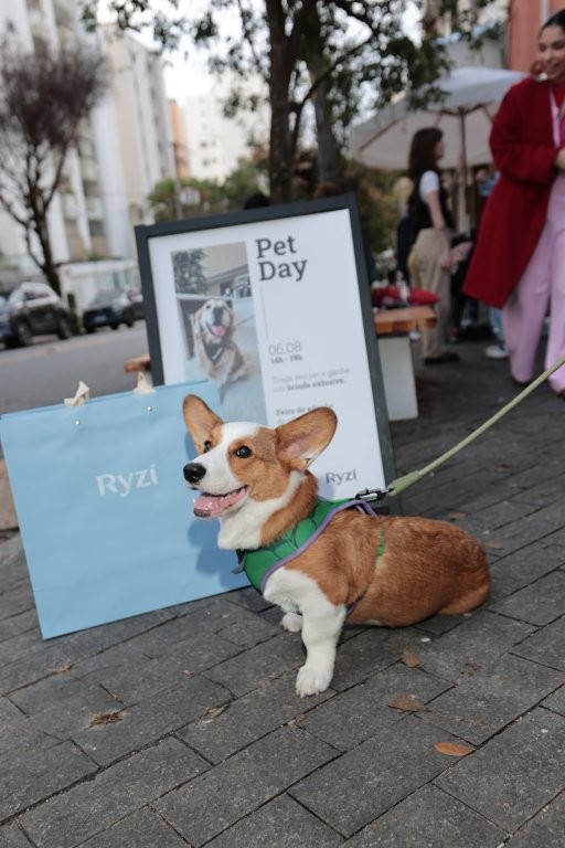 Corgi Charuto_Ryzí - Lançamento Linha Pet_Crédito Nicolas Calligaro